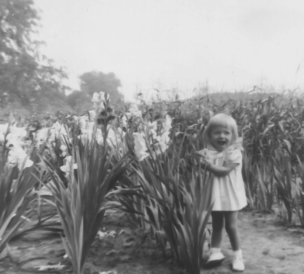 age 1 and a half in the gladiolas