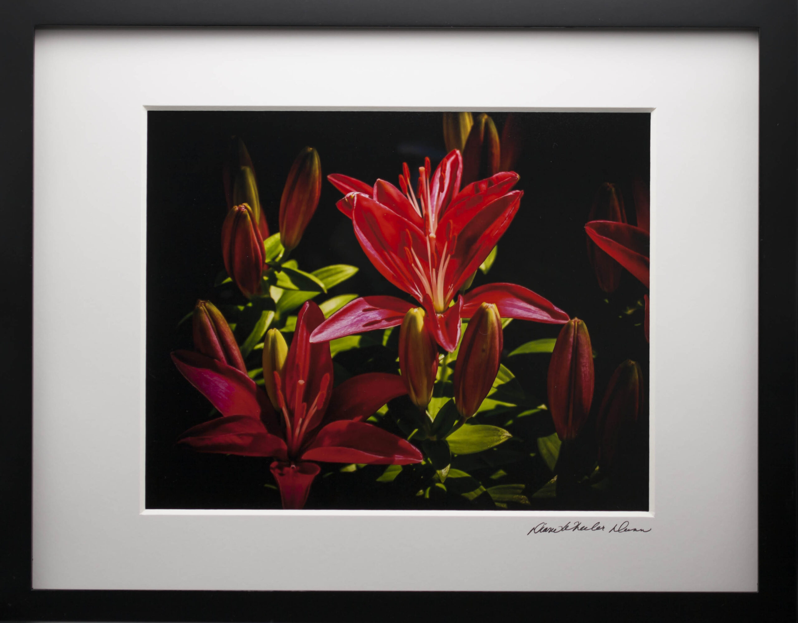 framed photo of red asiatic lilies