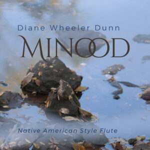 digital photo cover of music single Minood, stones and leaves in a creek.